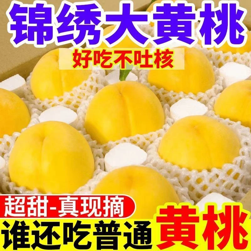正宗山东蒙阴黄金蜜大黄桃现摘当季新鲜鲜时令水果脆甜整箱包邮