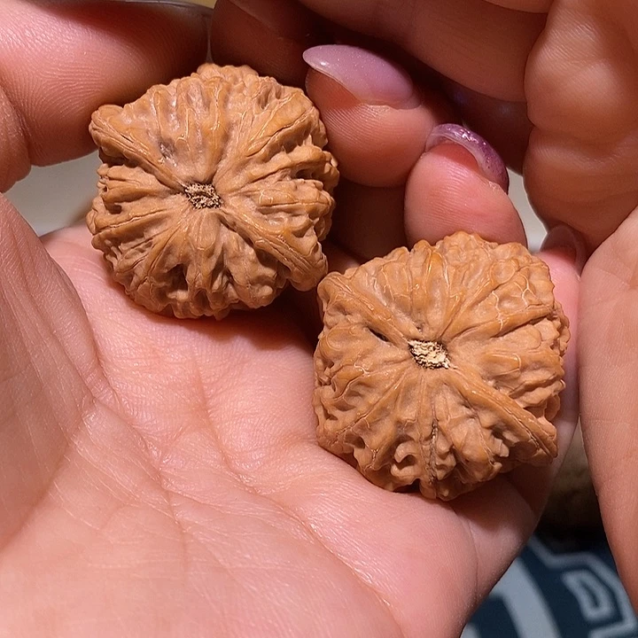 文玩核桃把件35野生地雷