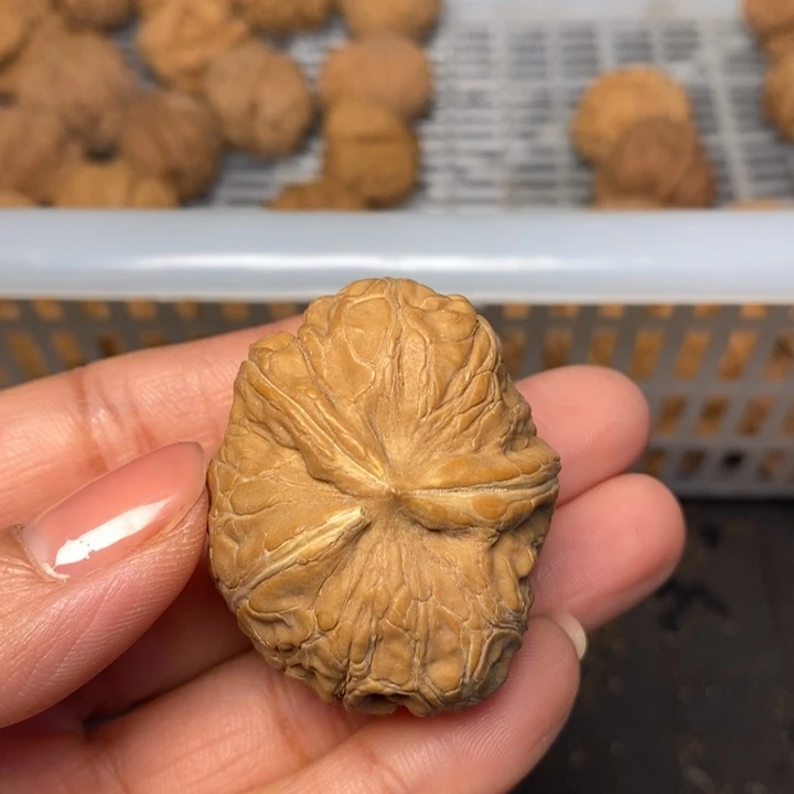****人文玩核桃吊坠文玩核桃异形单只