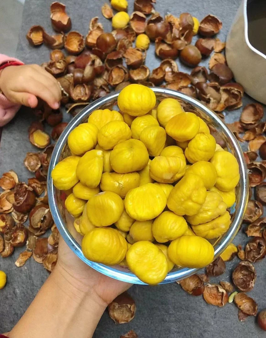 云南高山头茬土板栗新鲜红壳板栗毛栗子好剥皮生吃脆甜熟吃粉面