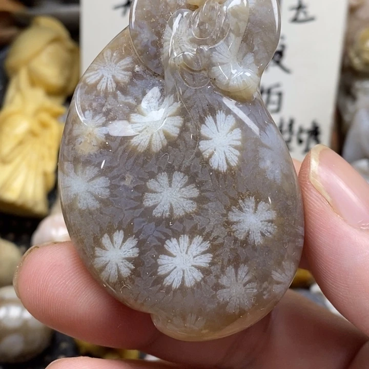 硅化珊瑚（珊瑚玉）未镶嵌颈饰