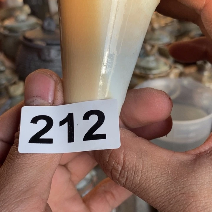 茶盏哦啦啦啦啦啦啦啦啦212