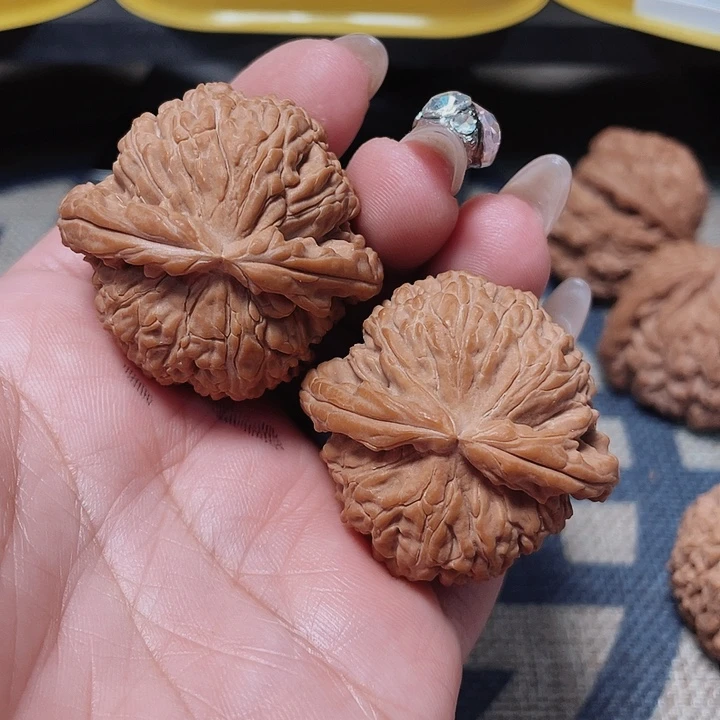 文玩核桃把件ㅤ***ଓ白狮子40