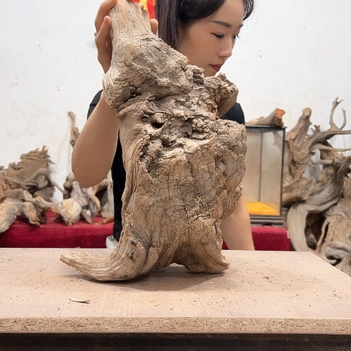 柏木青****）我们的生活也