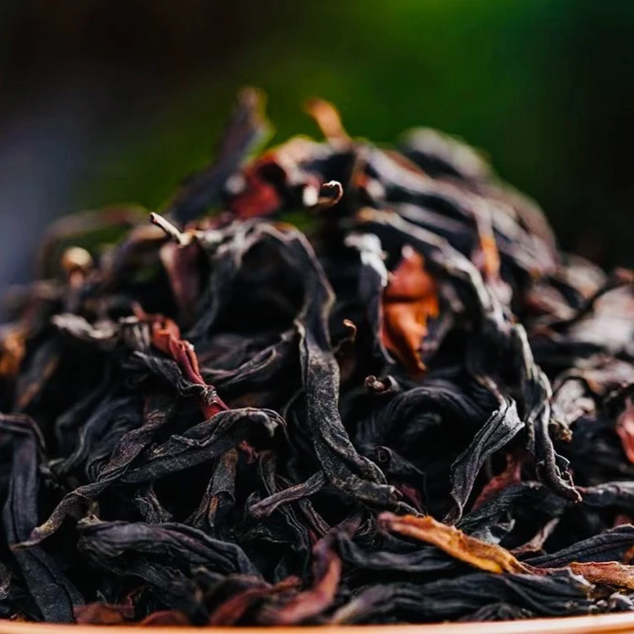 云南古树野生红茶头春头采深山原始森林稀缺野茶