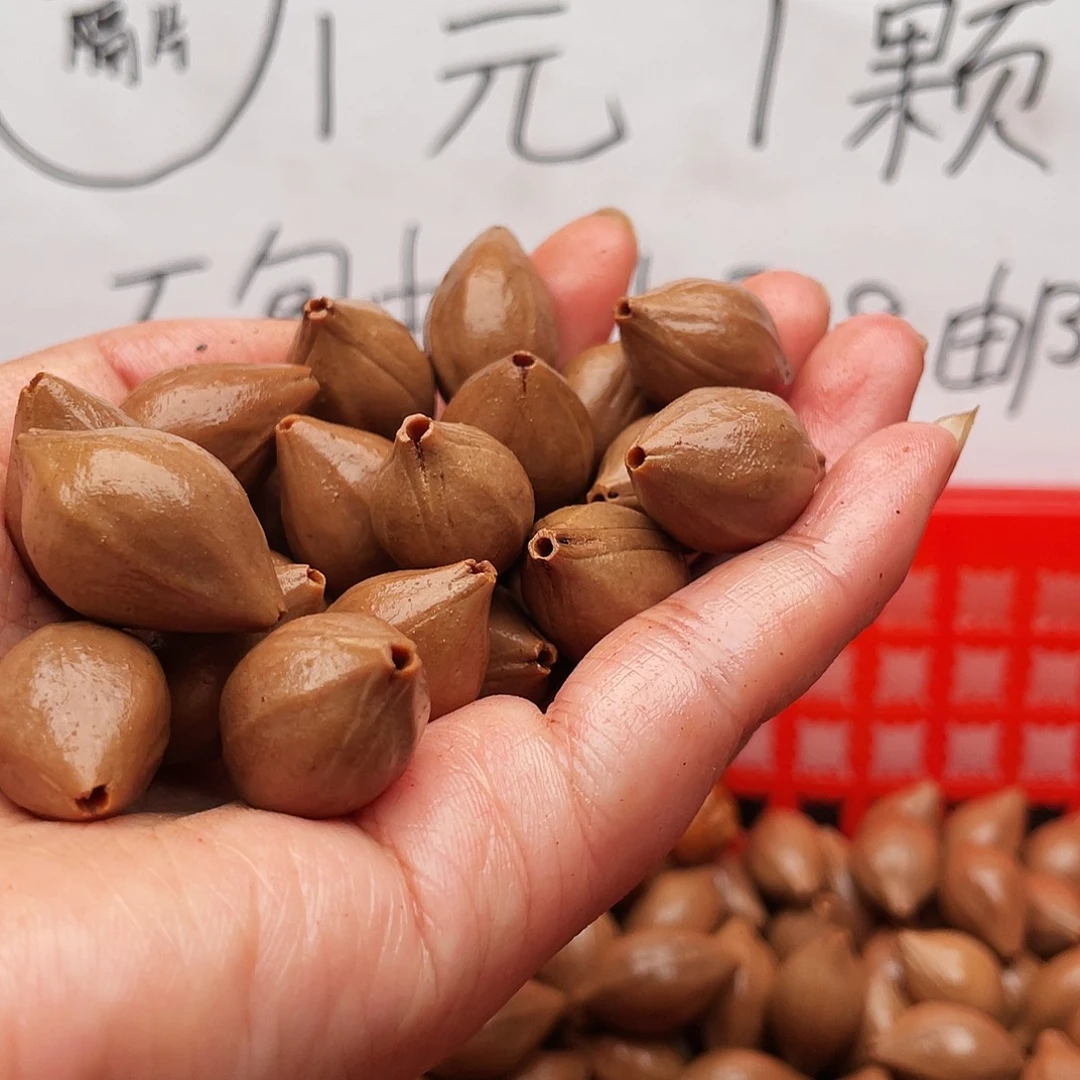 橄榄核手串/手链明*斋橄榄