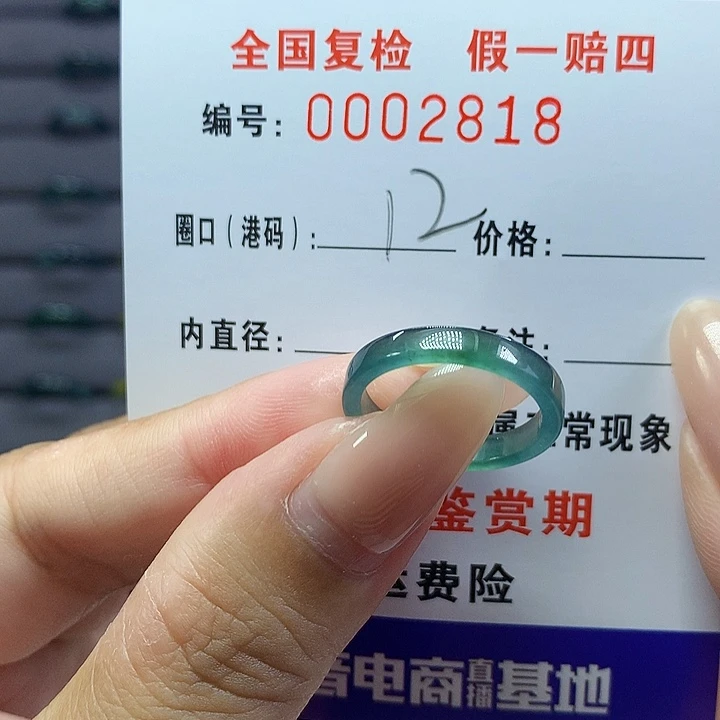 翡翠戒指未镶嵌    2818