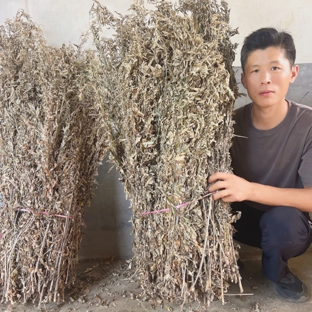 整颗艾叶干艾草家用煮水泡脚泡澡月子发汗适用2斤装