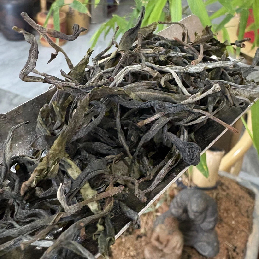 普洱茶（生茶）临沧勐库-红土地-古树-2025小户赛-[昌兴堂]