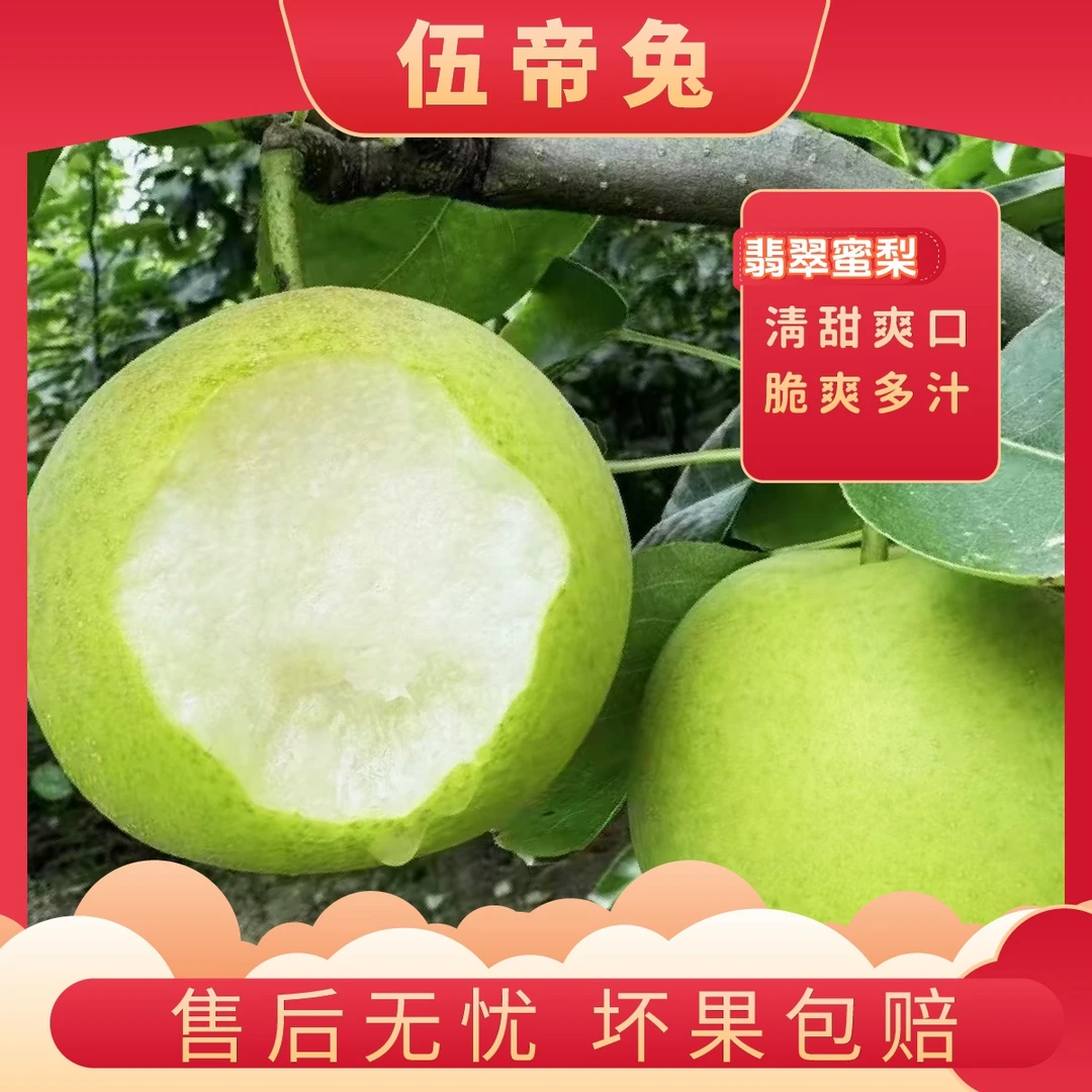 【伍帝兔】山东翡翠蜜梨4.5斤单果250g+应季水果梨子包邮