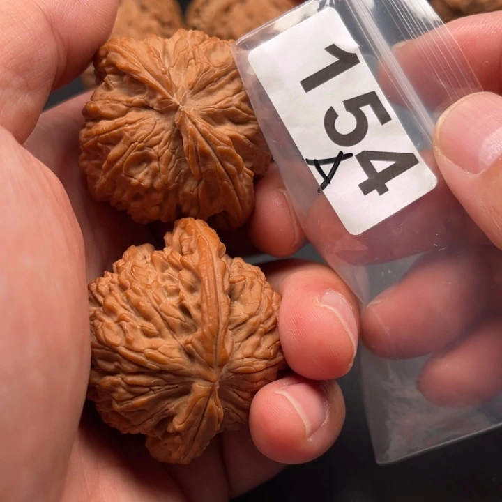 把件桃核白狮子47