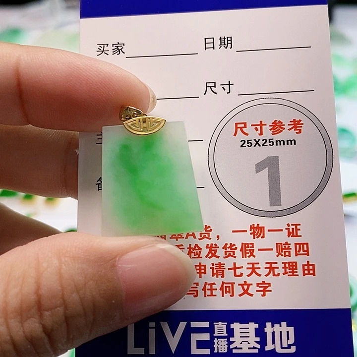 【闪购商品】翡翠颈饰18K金镶嵌杨*翡翠