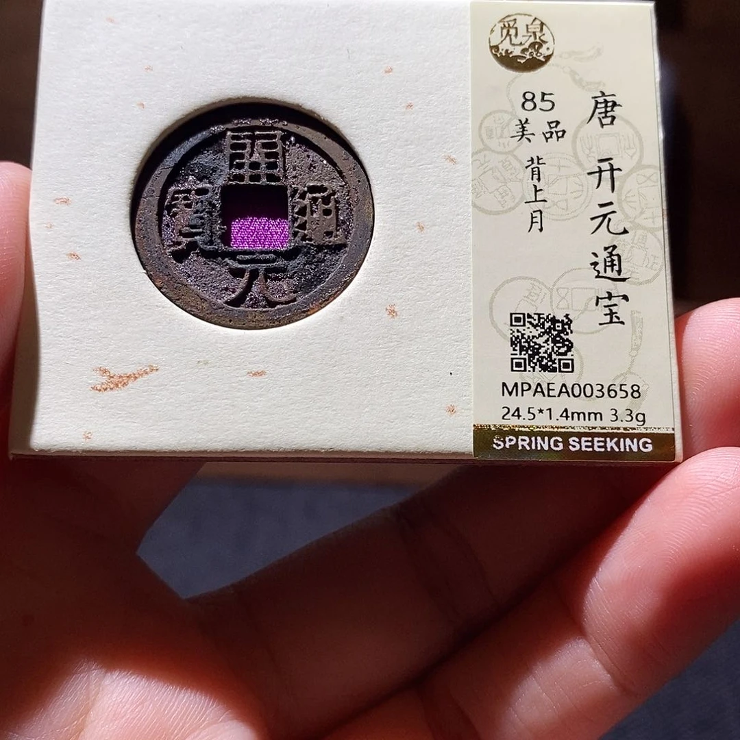 贝壳10 恭喜发财恭喜发财