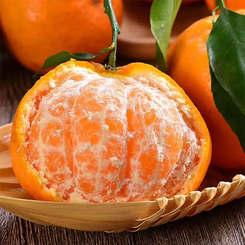 【年货精选】正宗四川春见耙耙柑皮薄肉厚汁多 当季新鲜水果