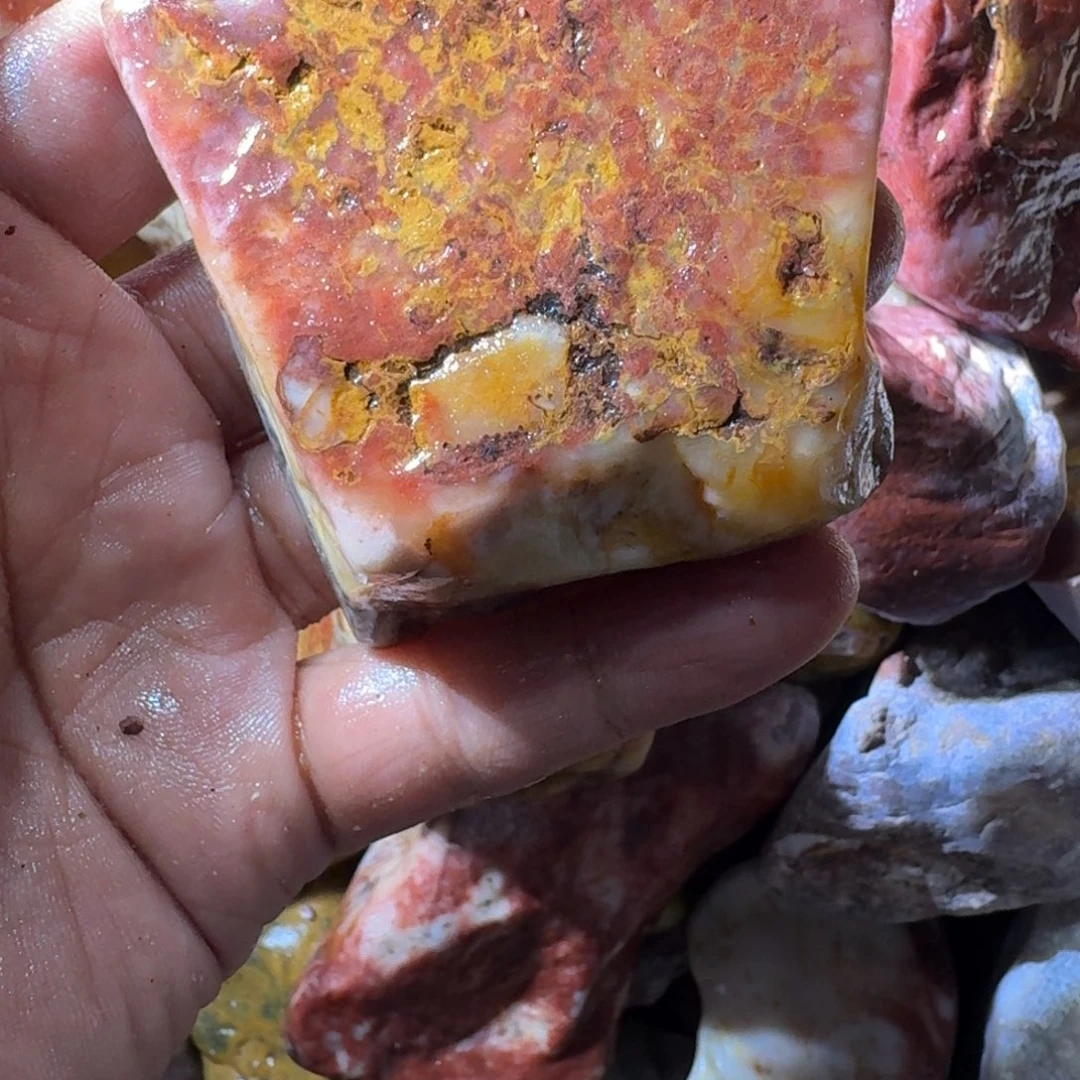 户***。寿山石8998899888999