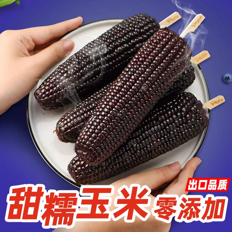 【试吃2棒】2025东北头茬黑糯玉米整箱5斤以上拍10棒精选