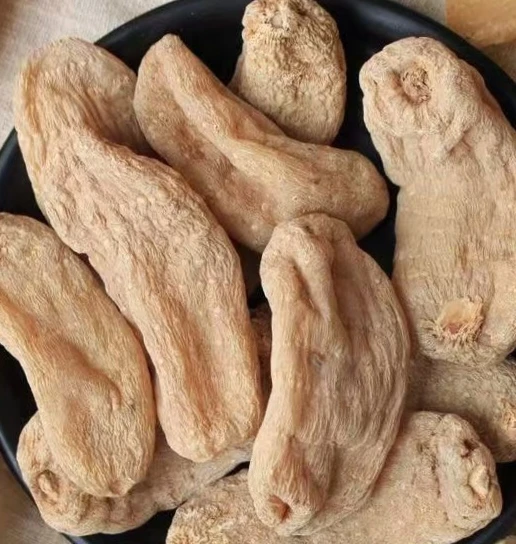 云南昭通小草坝天麻