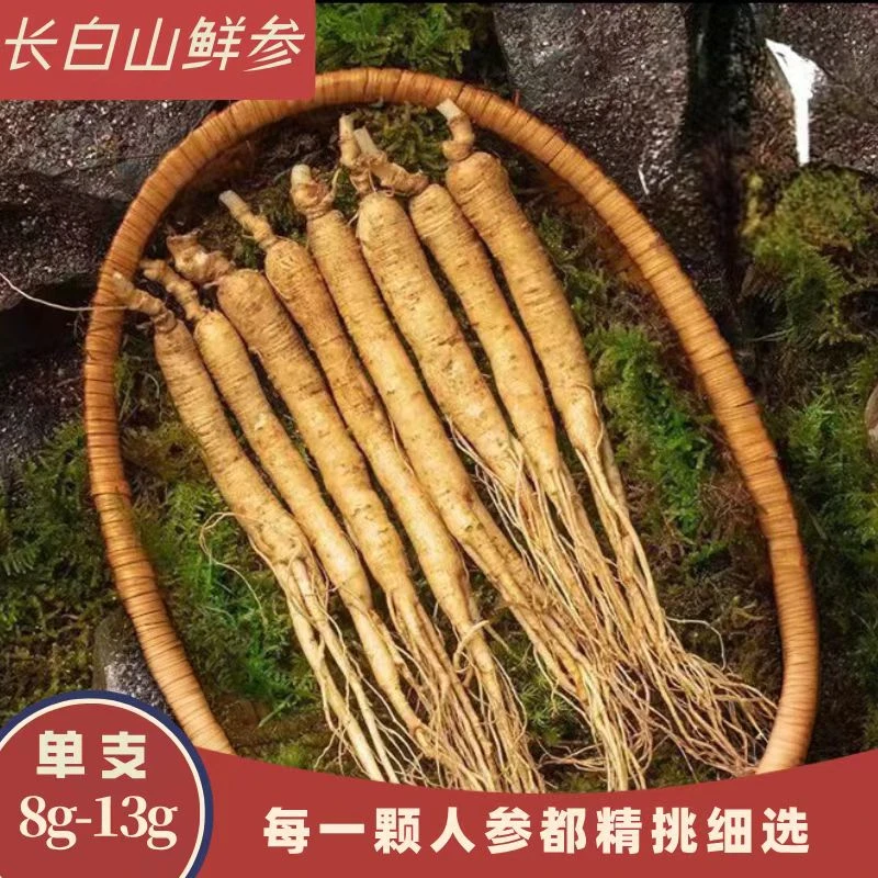 长白山鲜人参8-13g/支 送人参种子 参味浓郁