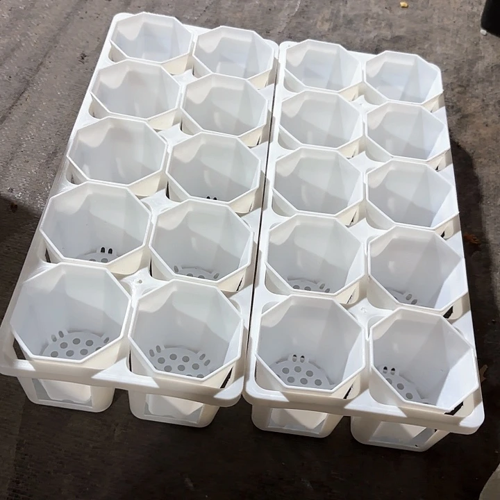 7公分八角盆20个含托架