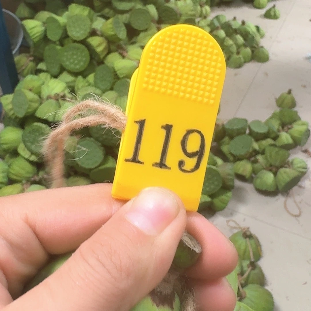 江***人鲜莲蓬一串26个包邮