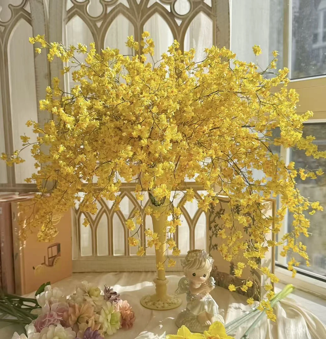 年宵花梦香兰《黄色》12支花剑或以上室内高端盆栽花多年生花期长