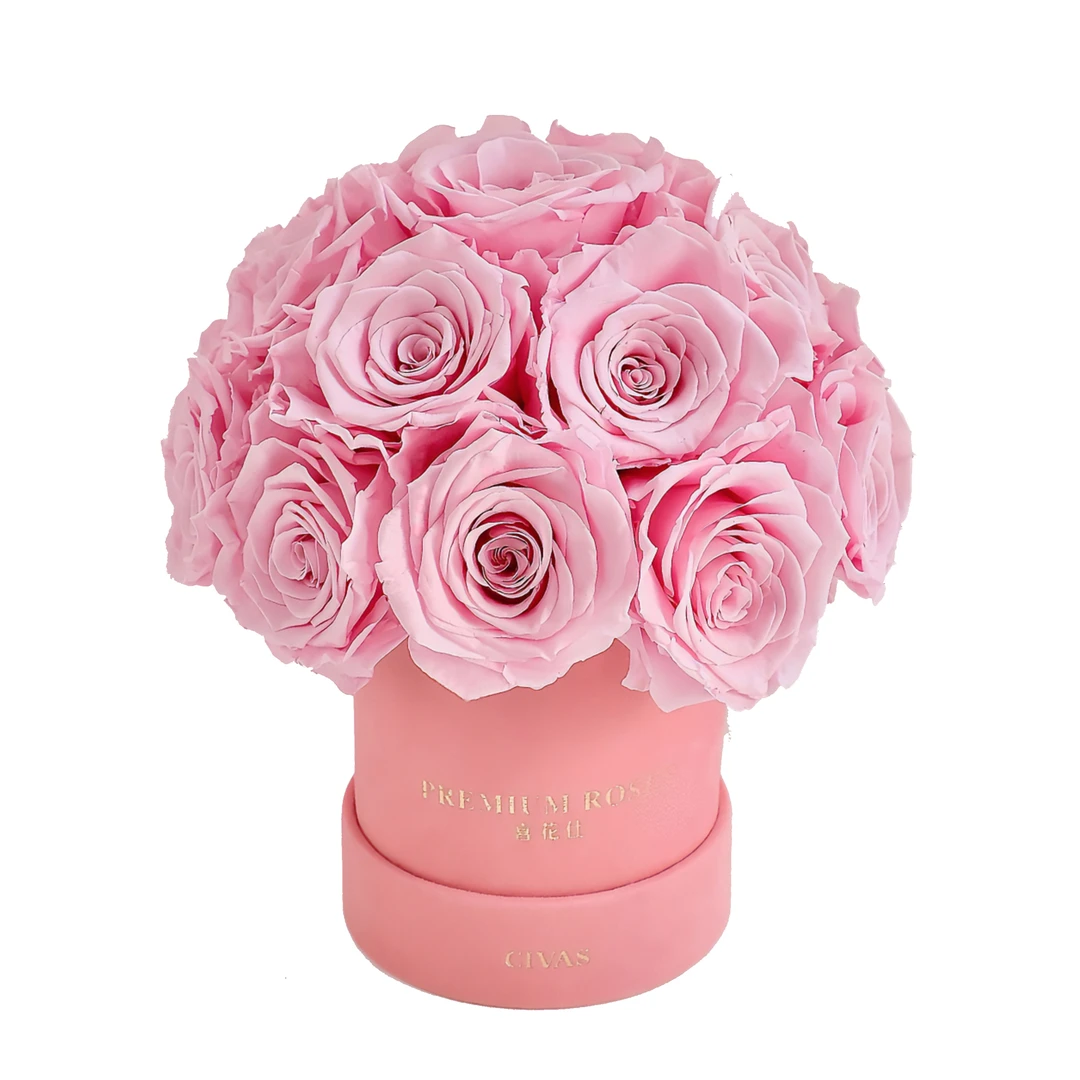 CIVAS喜花仕 永生玫瑰花桶 - 珊瑚粉