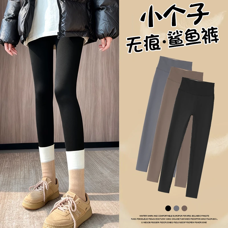 小个子云感鲨鱼裤女秋冬款外穿加绒保暖打底裤高腰收腹黑色瑜伽裤