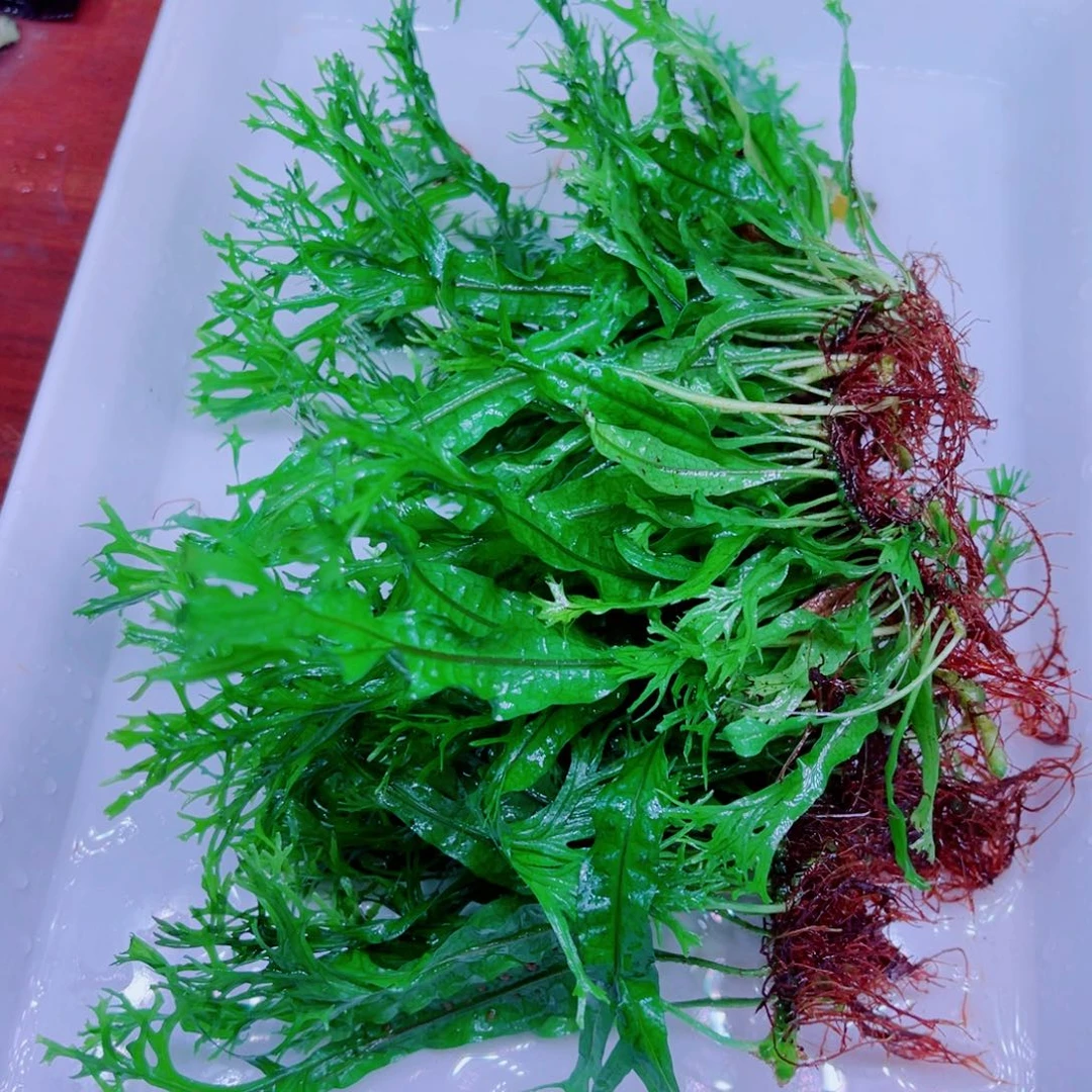 明***子美小呆哇塞套餐一份