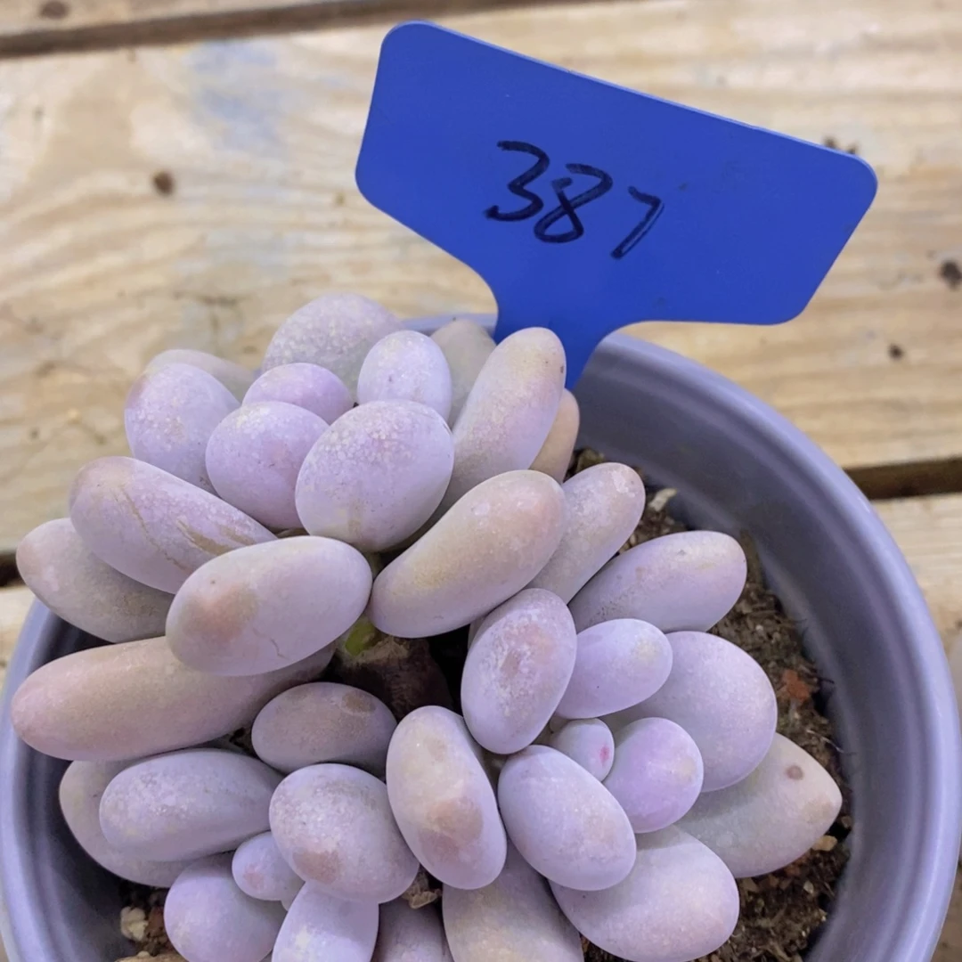 清货专场，粉丝一单包邮