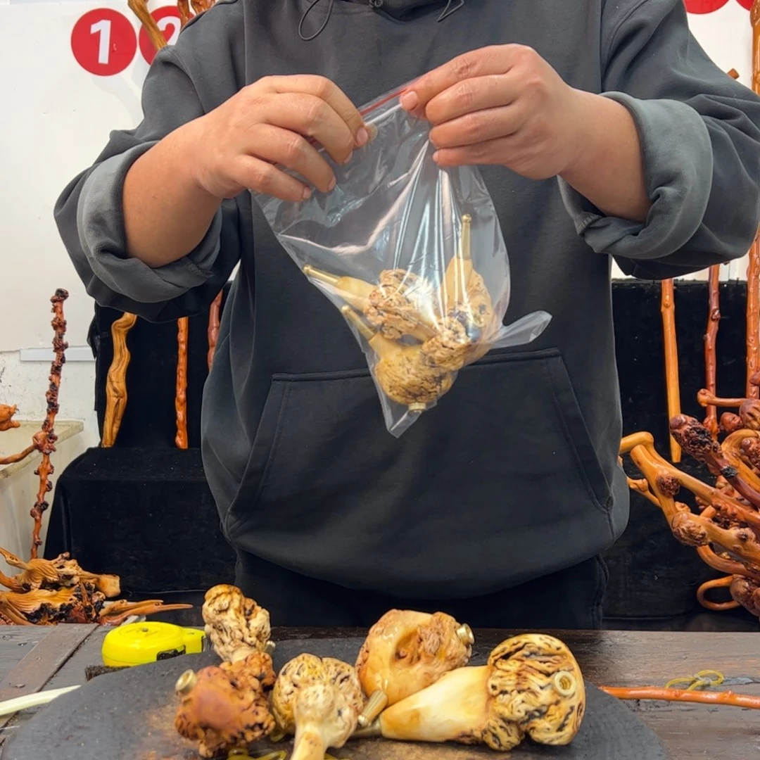 黑果木其他黑果木705