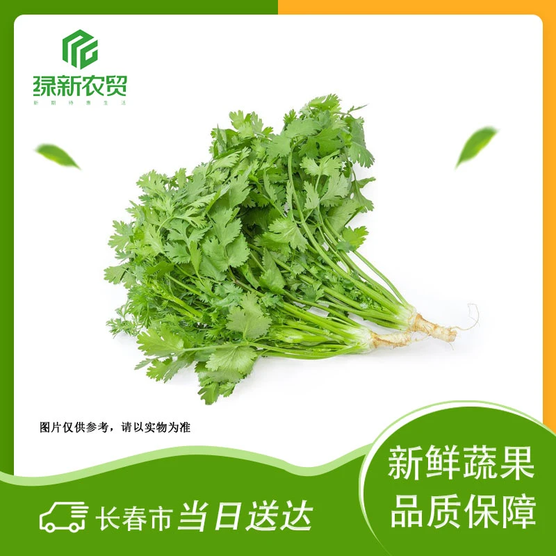 Y 小香菜 约150g/份香菜