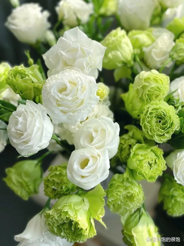 合金耳饰 时尚饰品合集2