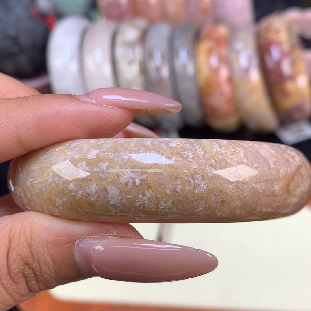 【闪购商品】颈饰未镶嵌硅化珊瑚（珊瑚玉）湛*