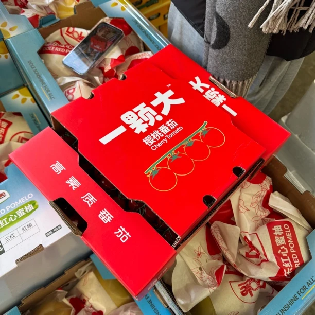 一颗大 高素质小番茄柿子五斤 （顺丰包邮 明天就能到）