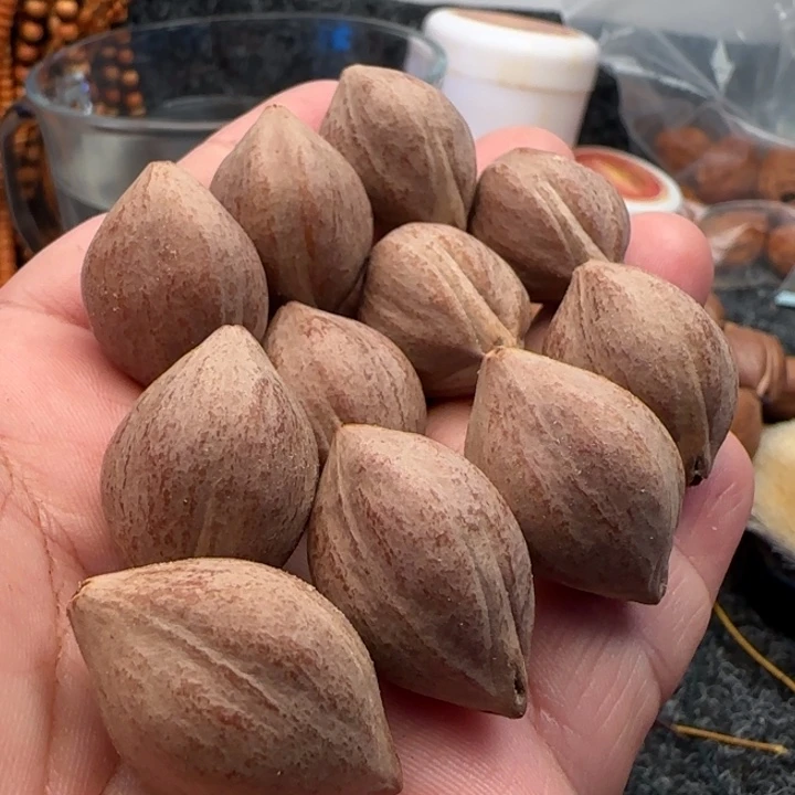 橄榄核手串橄榄核原皮铁盒三面佛