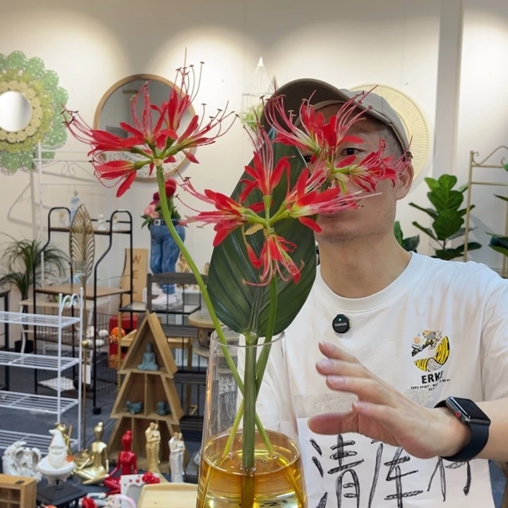 摆件哈哈哈哈哈哈哈哈哈