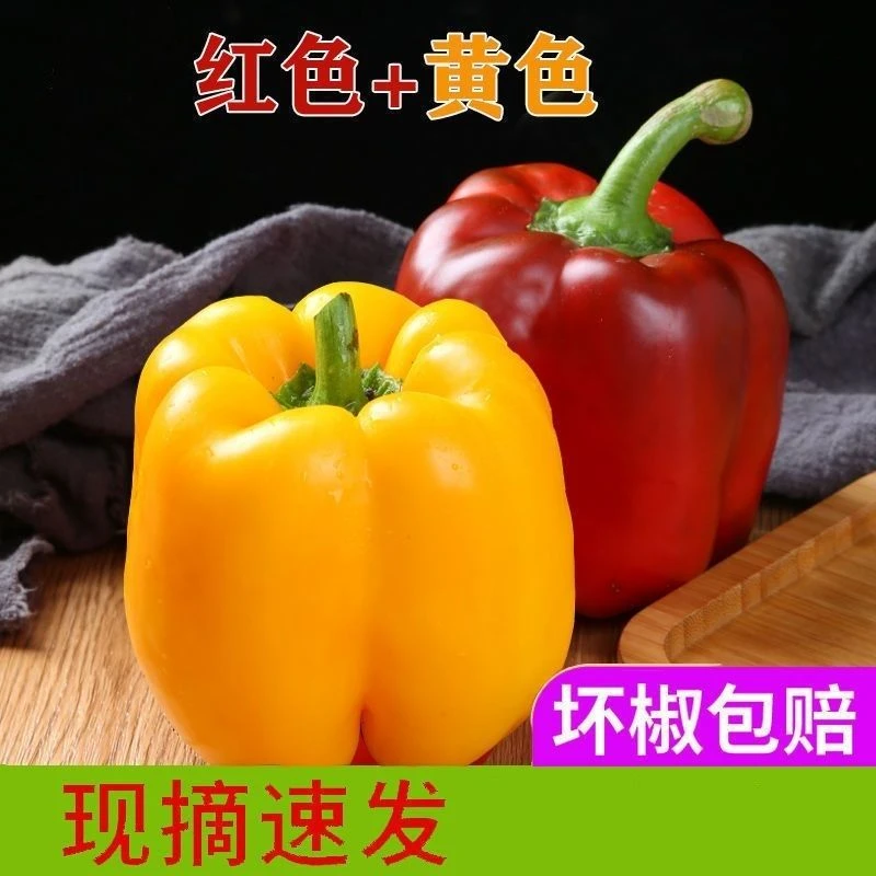 【产地直发】山东现摘五彩椒五彩水果椒水果彩椒可生食山东红五彩椒