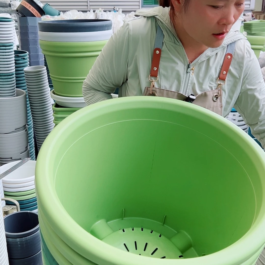 瑕疵四季盆9#果绿墨绿串色3个无托