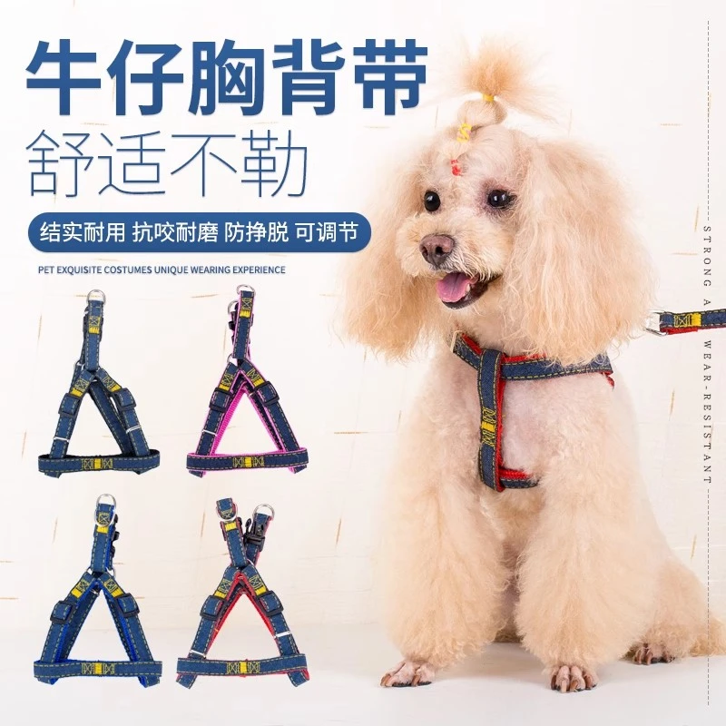 牛仔狗狗牵引绳小型犬胸背带狗带遛狗绳子泰迪狗链子项圈宠物用品