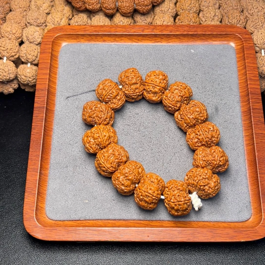 菩提13号尼泊尔大金刚26.5-27梅花