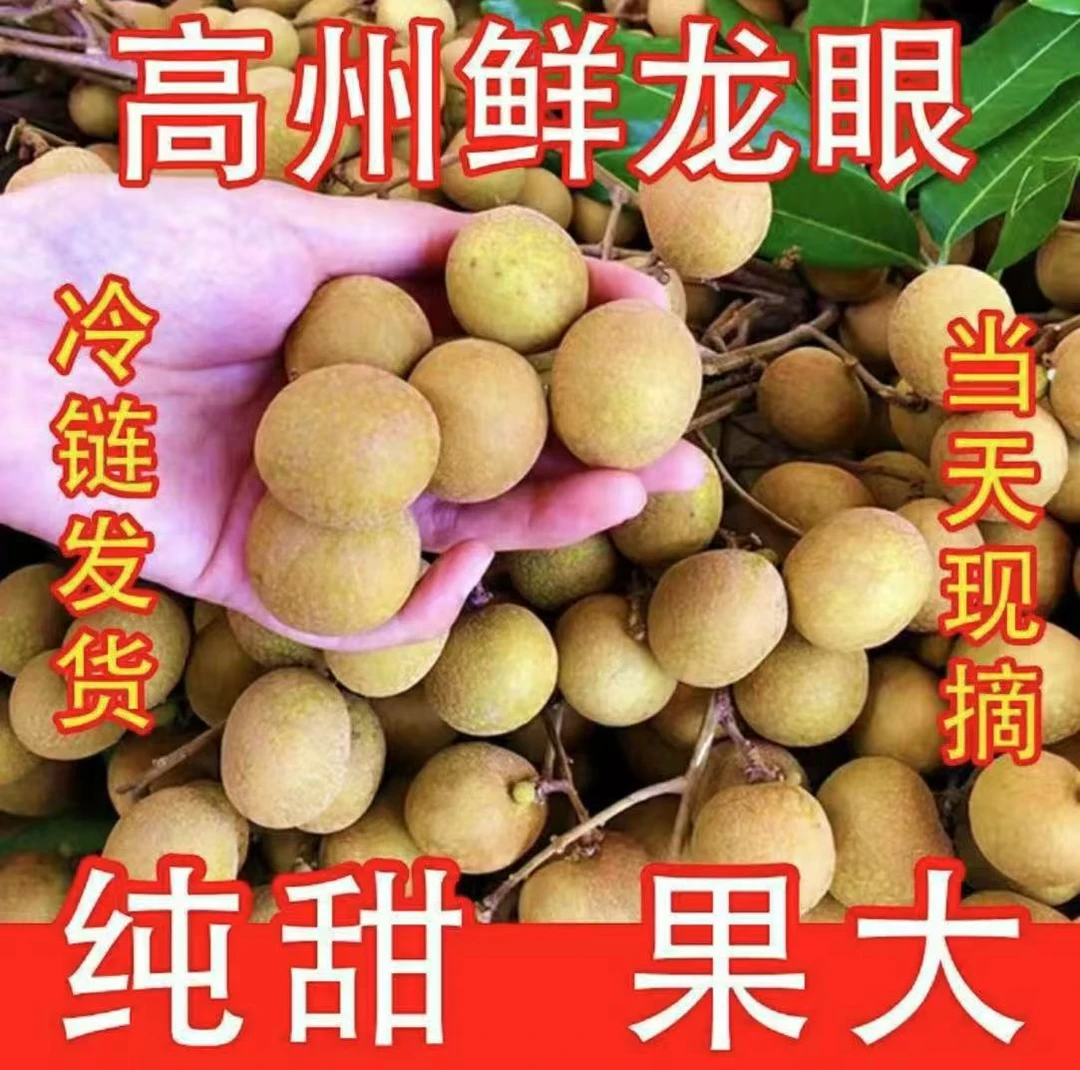 【生鲜冷链】广东茂名正宗储良龙眼新鲜现摘现发当季新鲜水果