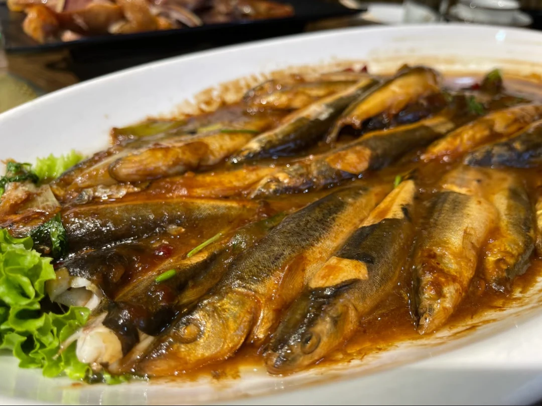 黄肚，母，东北特产