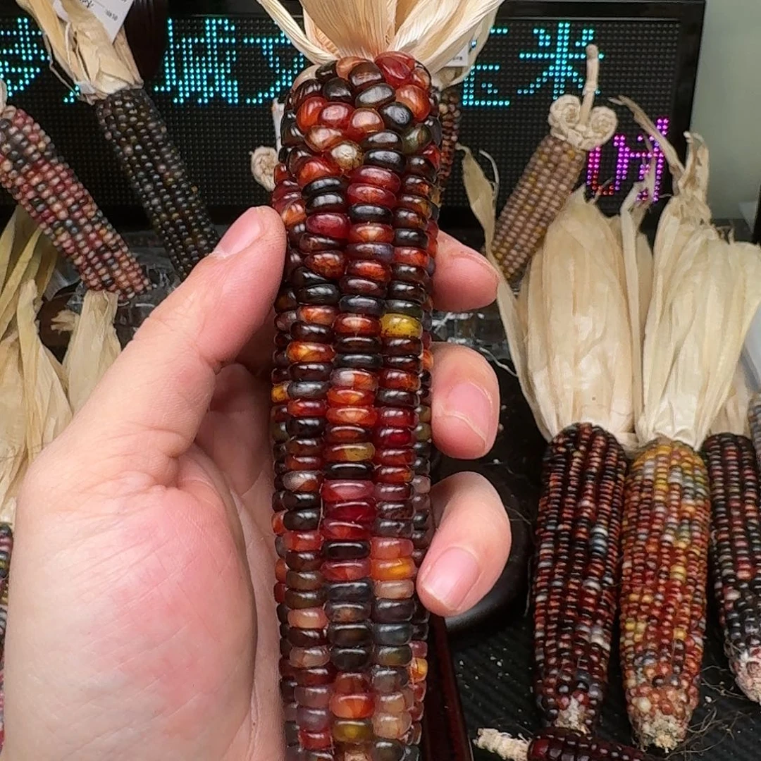 柏香籽/百香籽吊坠我***见