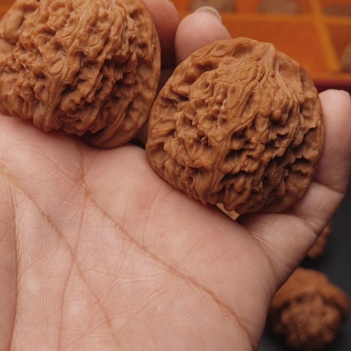 核桃南疆41尺核桃