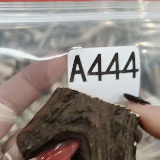 果***然鹿角鹿角鹿角鹿角鹿角