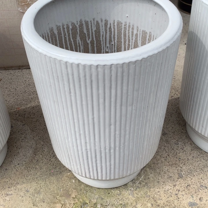 花盆里的小猫咪们都好可爱啊哈哈哈哈哈