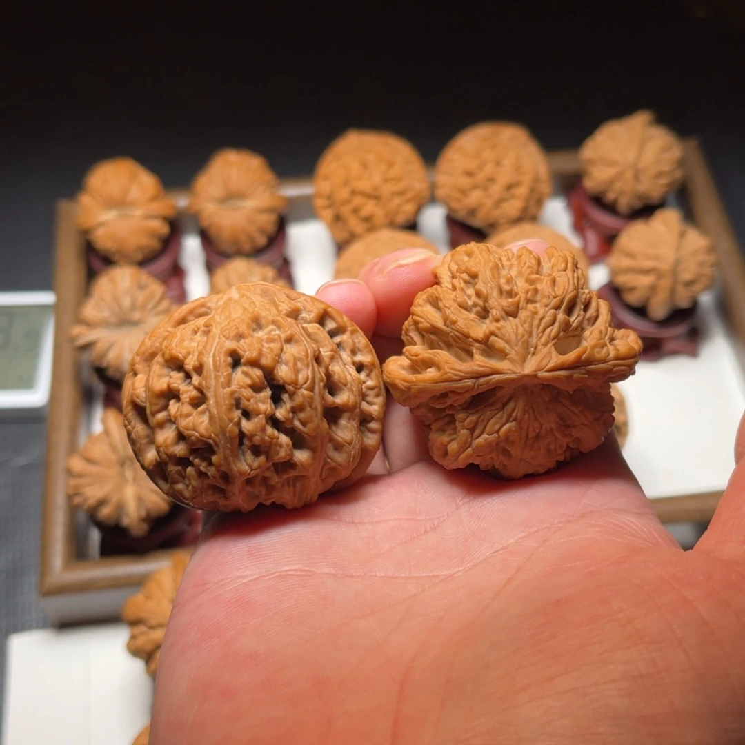 把件文玩核桃球形大粗筋核桃尺寸49