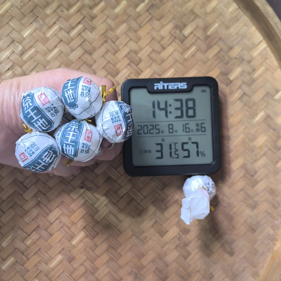 2025年广别茶王地古树普洱生茶龙珠WMJ1号8月16日