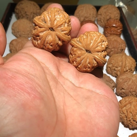 有机玻璃40全品精致大克重元宝