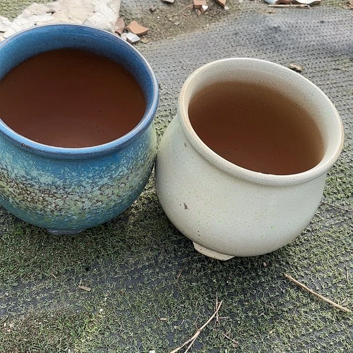 口16高16。。。。。。。。。。。